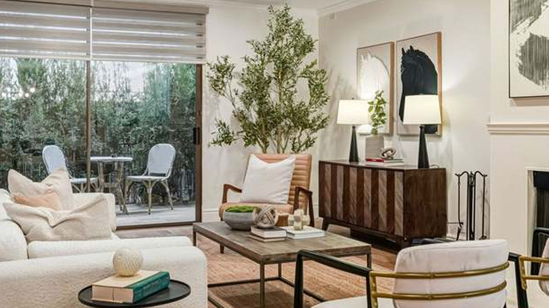 Plaster and Render Services